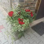 87 Krynica Zdroj