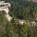 87 Krynica Zdroj